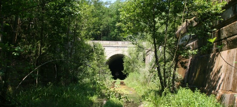Linia CFR 219 - Tunelul Ploștina