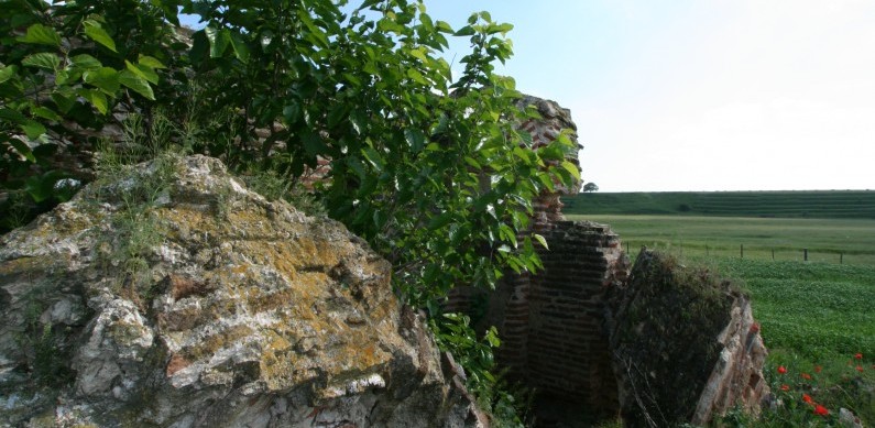 Ruinele bisericii Baldovinești