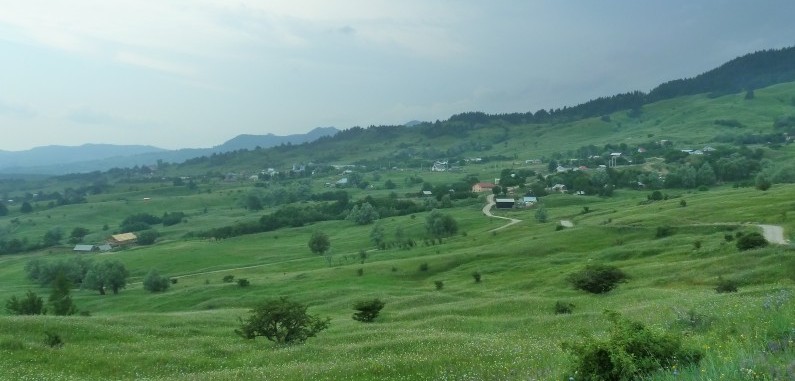 Dealuri lângă Vintileasca