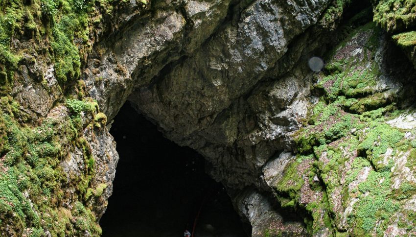 Peștera Scărișoara, vedere din aven