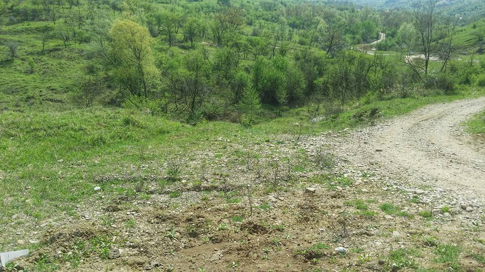 Din valea Cricovului Sărat se poate-ncerca o trecere spre Vălenii de Munte