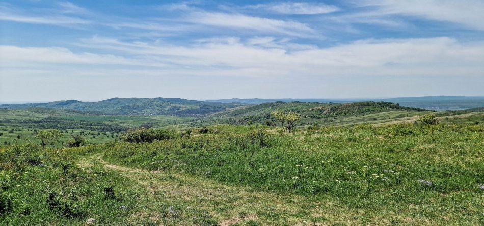 Varianta spre valea Cricovului Sărat