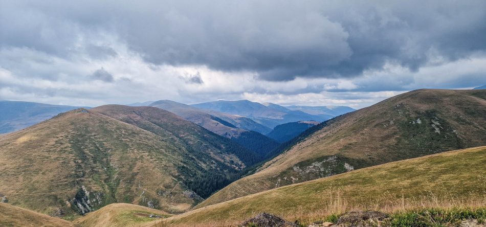 Valea Râului Șes la intrarea-n pădure