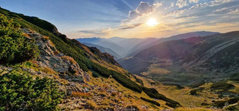 Din ce în ce mai bună