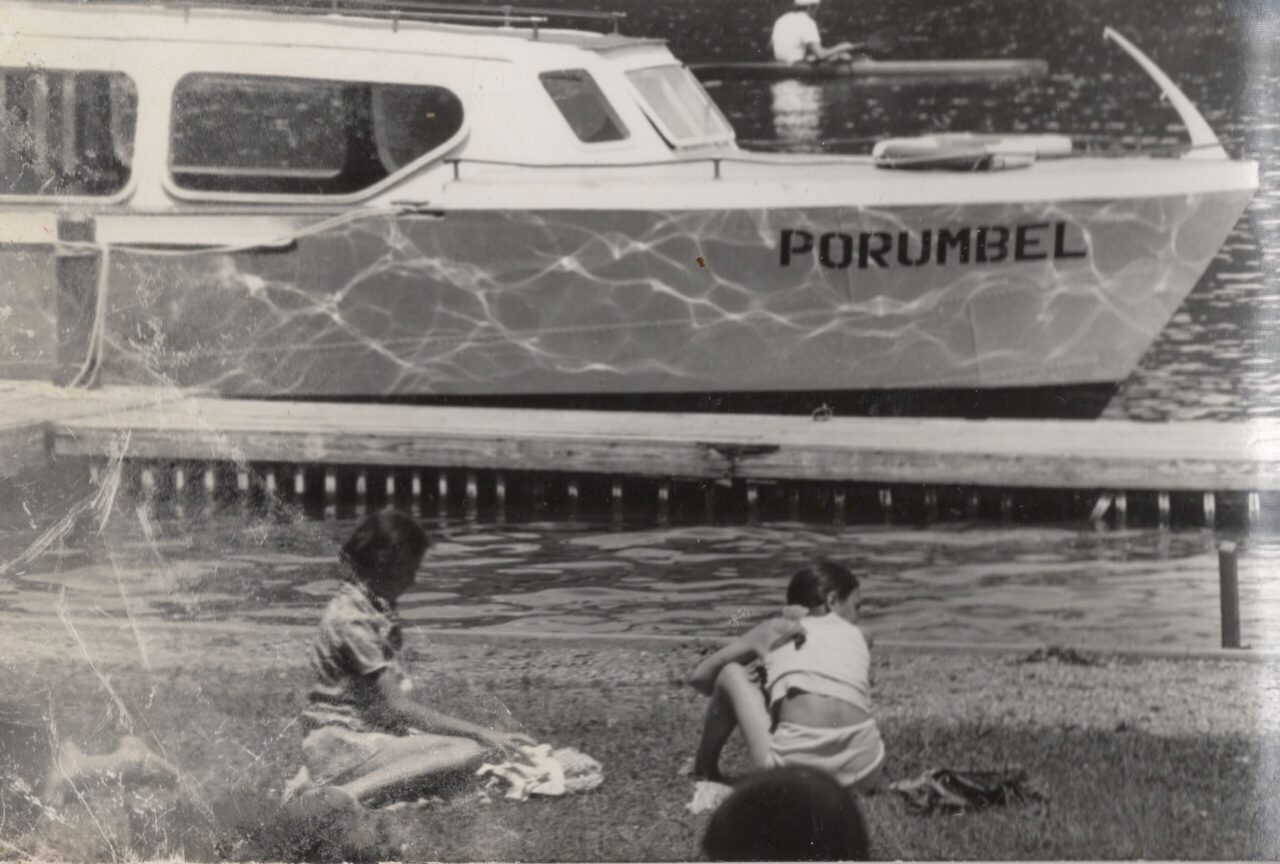 Porumbelul și porumbițele