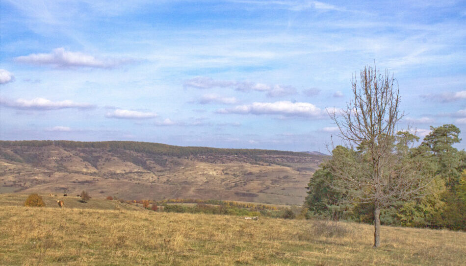 O panoramă de toamnă