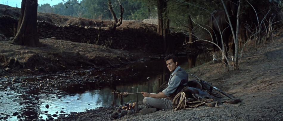 Peștele mâncat mai des, te conduce la succes