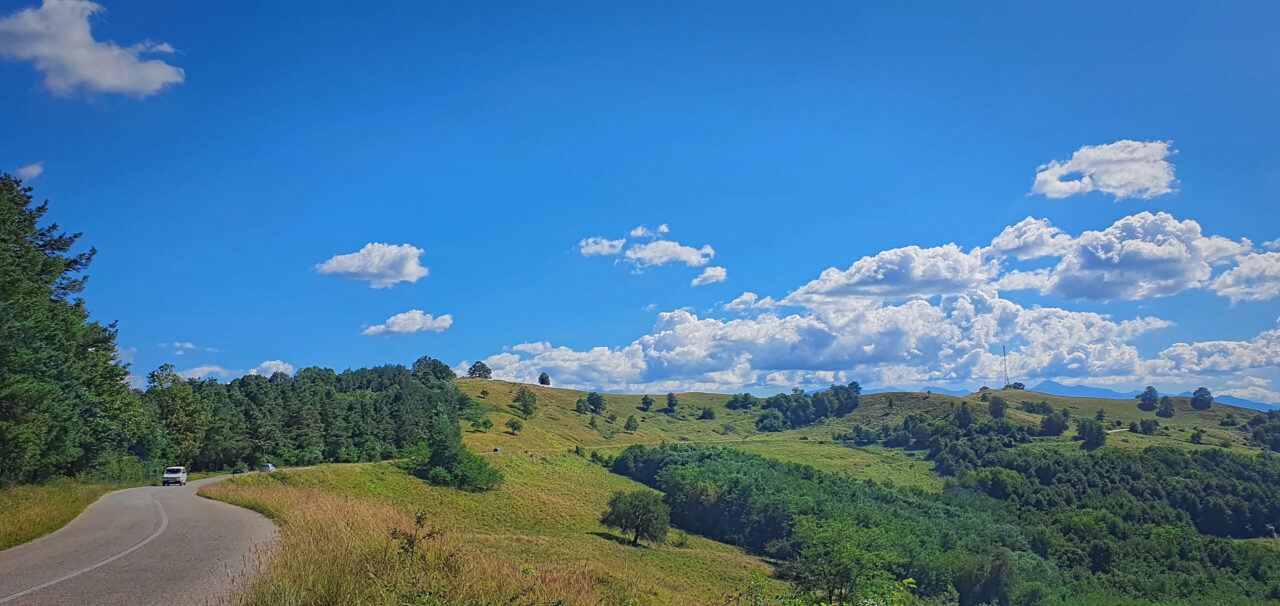 Fetele au vrut să pozeze flori și să culeagă mere