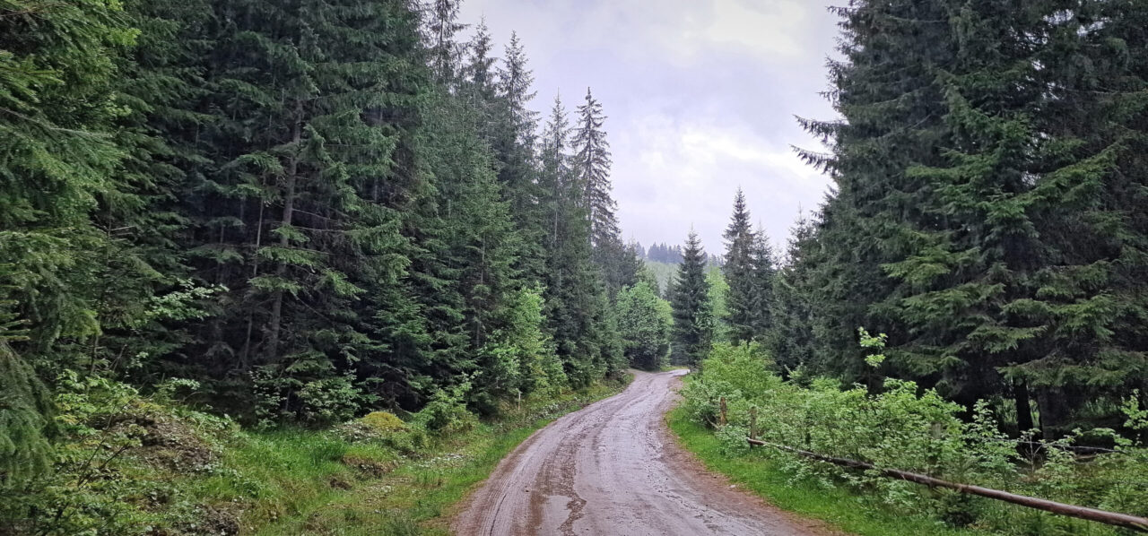 Cătinel pe vale