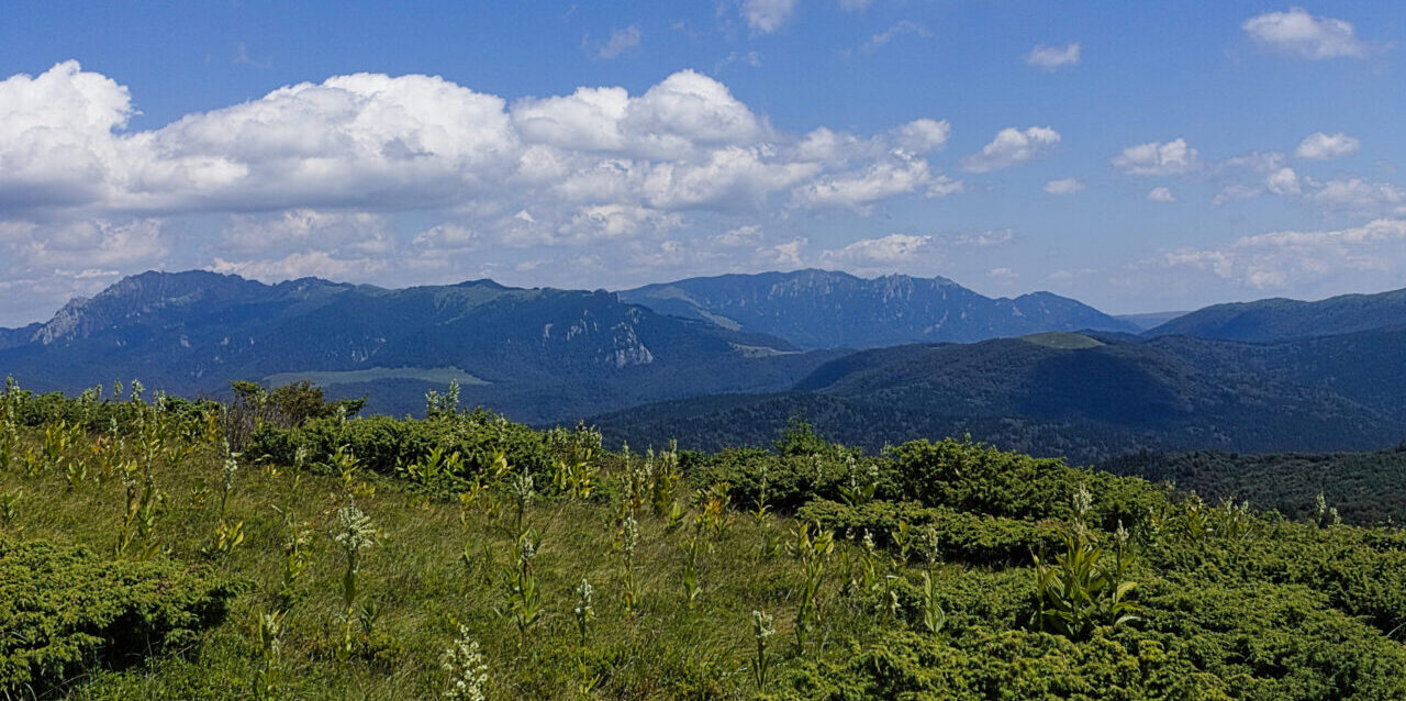 Ciucaș